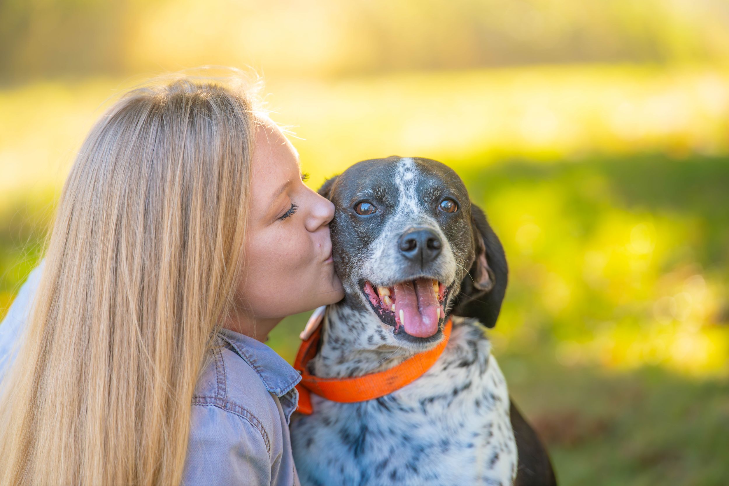 A blonde woman kissing a happy bluetick coonhound dog wearing an orange collar outdoors in a sunny park. End of Life Dog Session Quad Cities