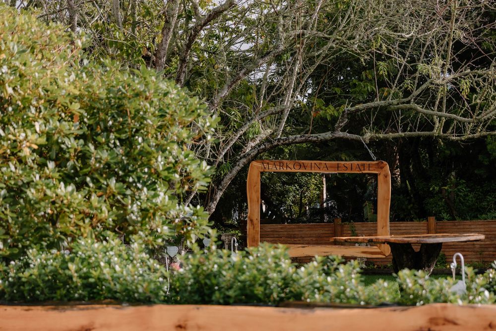 A rustic wooden picture frame sits among green foliage and wildflowers in an outdoor garden setting.