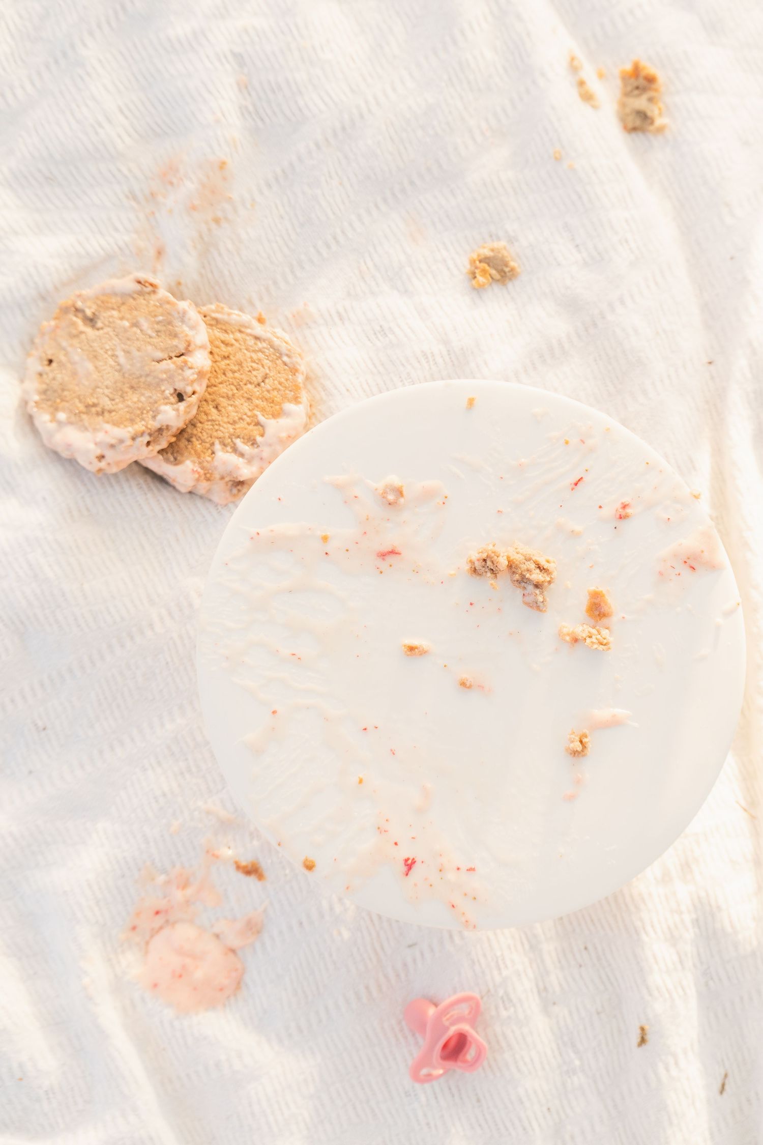toddler girl cake smash one 1 year milestone outdoor photography, pink cake