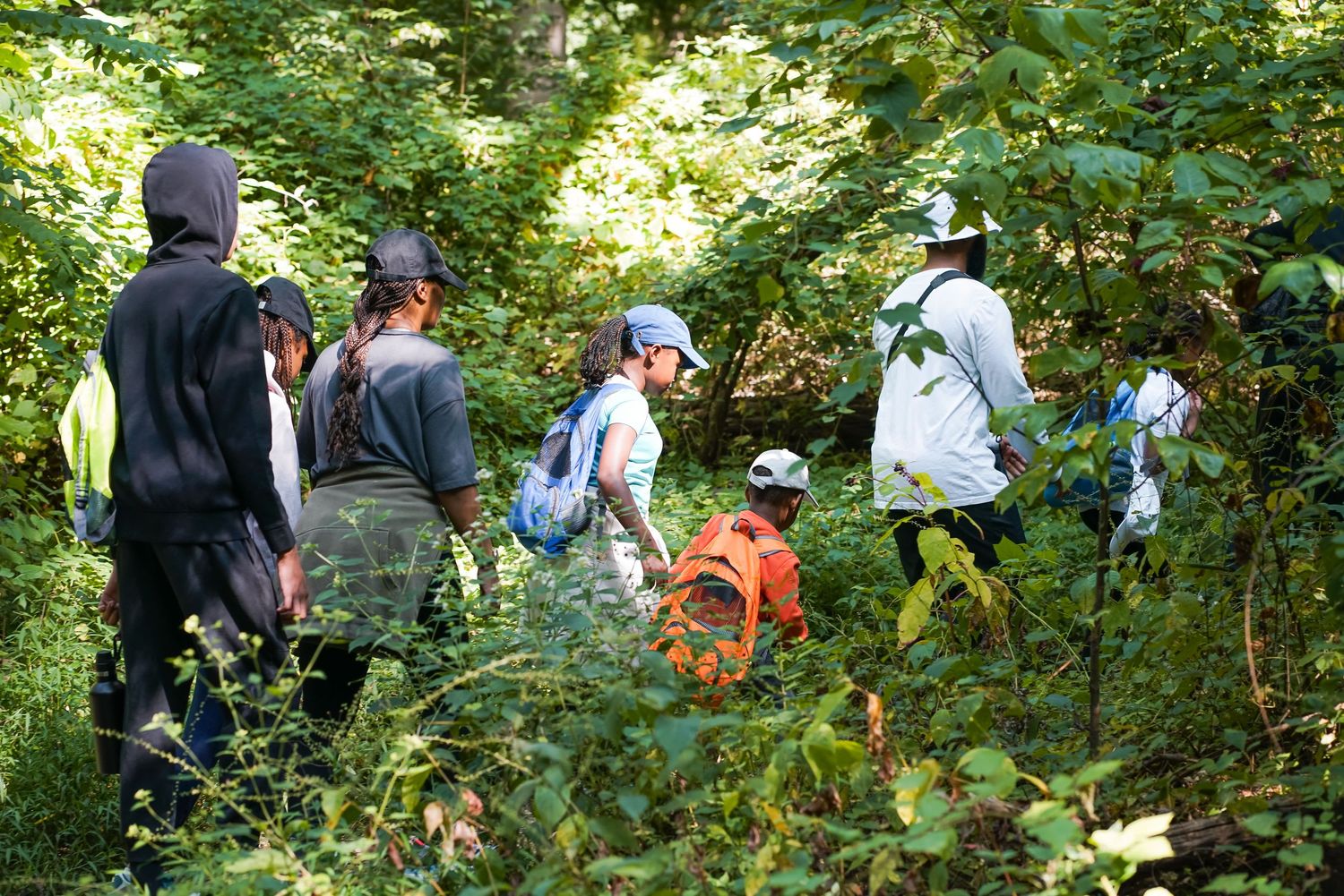 Group of people hiking through dense green forest trail on a sunny day.
