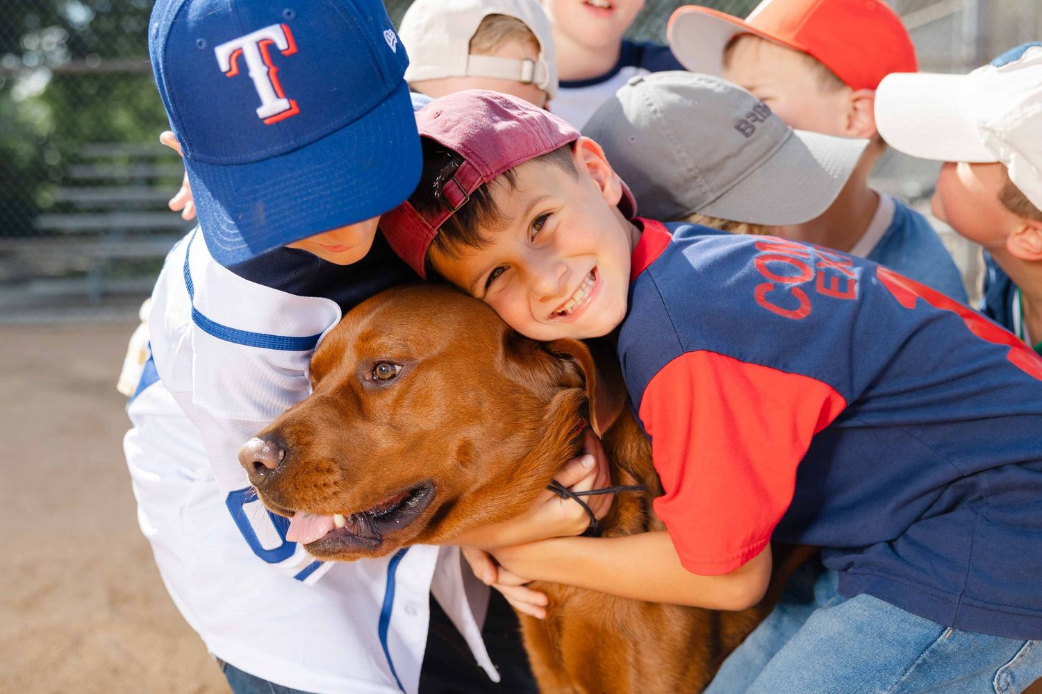 Kids in baseball uniforms hugging a happy brown Vizsla dog on a baseball field.