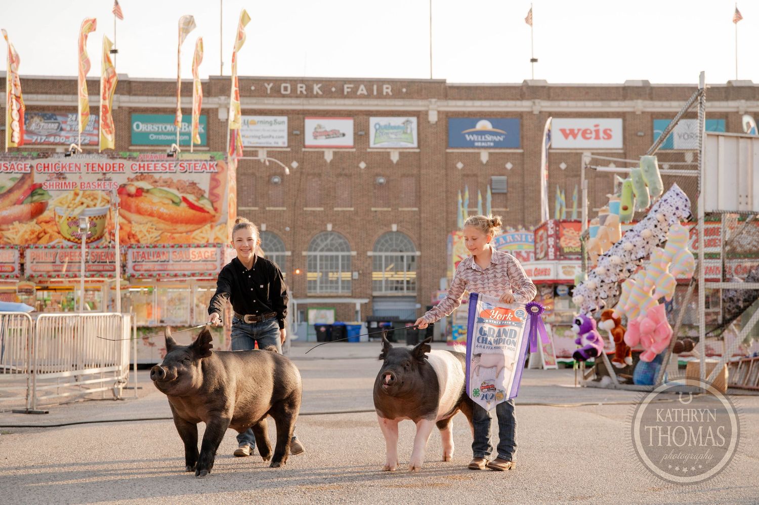 Young exhibitor proudly poses with a black show pig at the York Fair livestock competition.