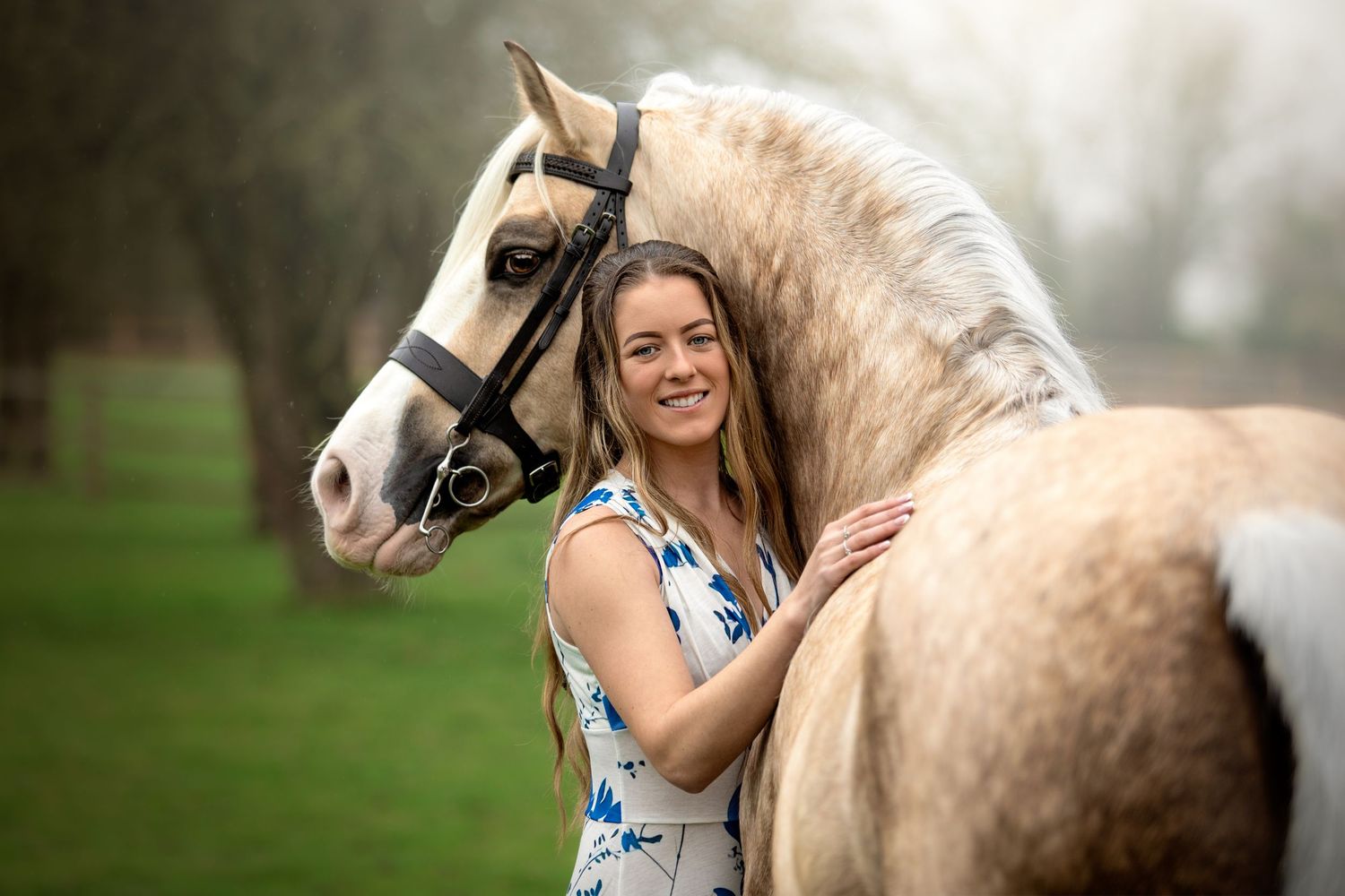 horse photography