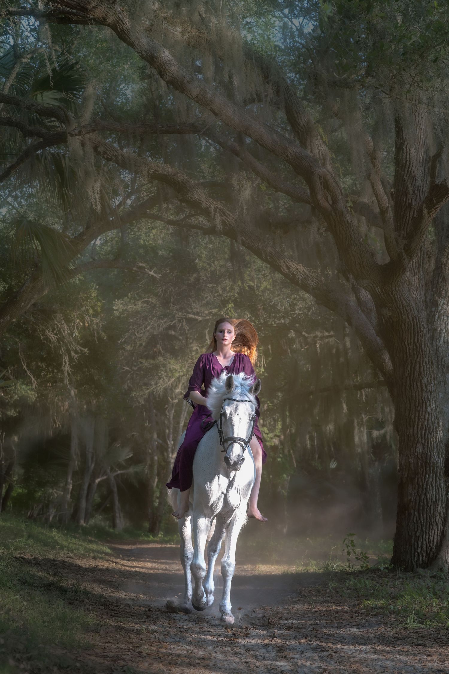 Woman in purple gown riding a white horse down a misty, tree-lined path in a magical forest.