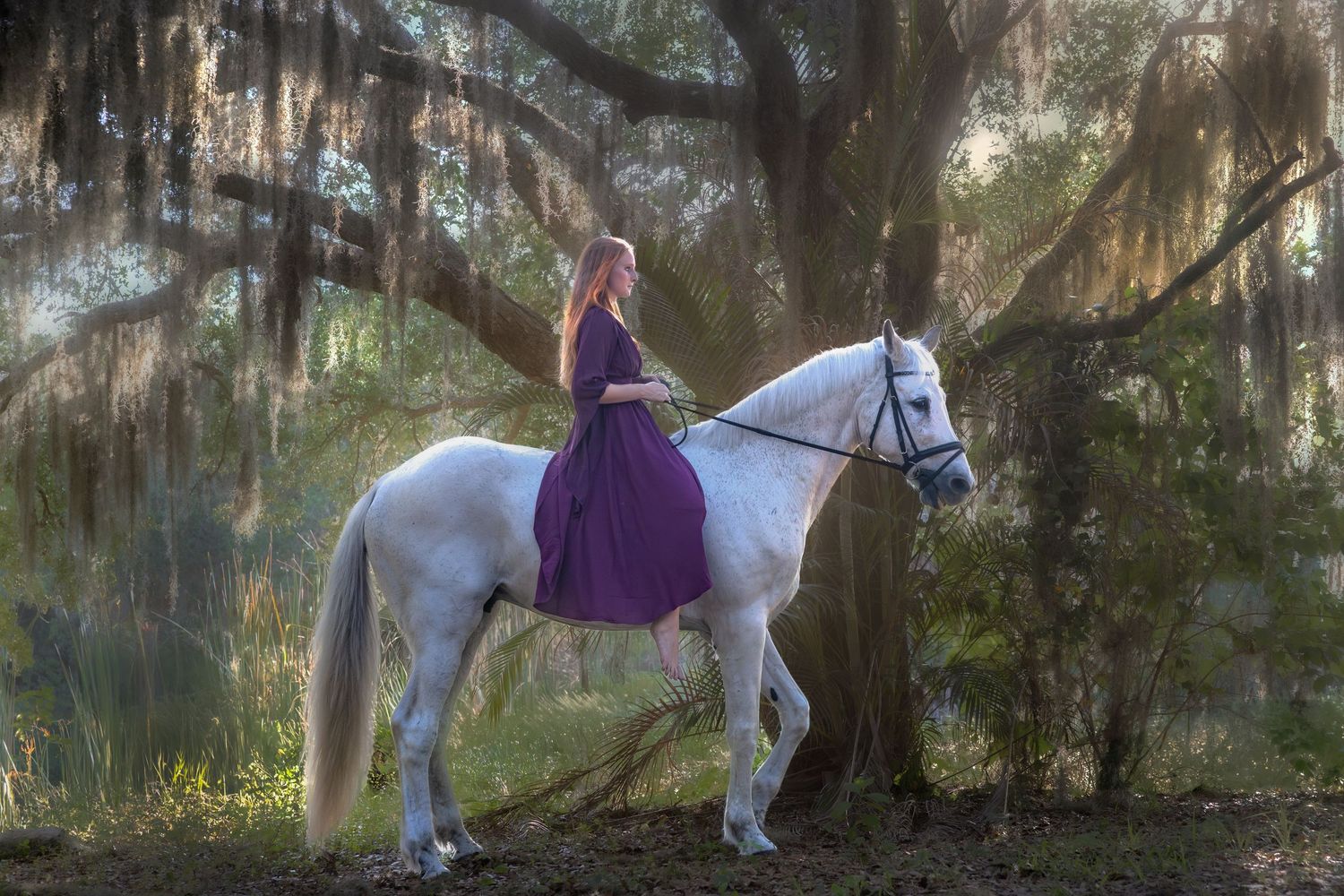 Woman in purple dress riding a white horse through a misty moss-draped forest.