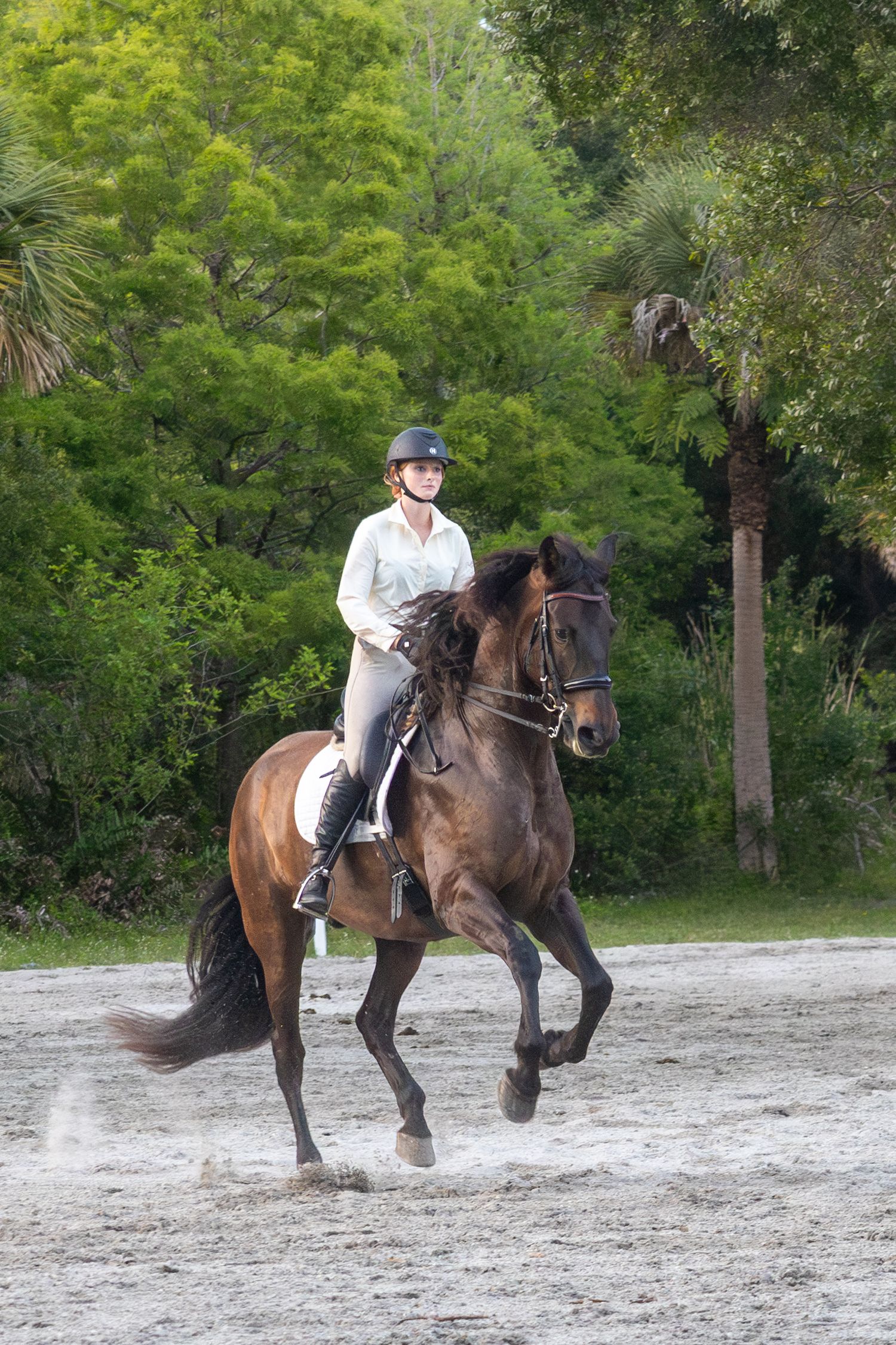 Female equestrian in white shirt cantering a dark bay horse in an outdoor sandy arena.