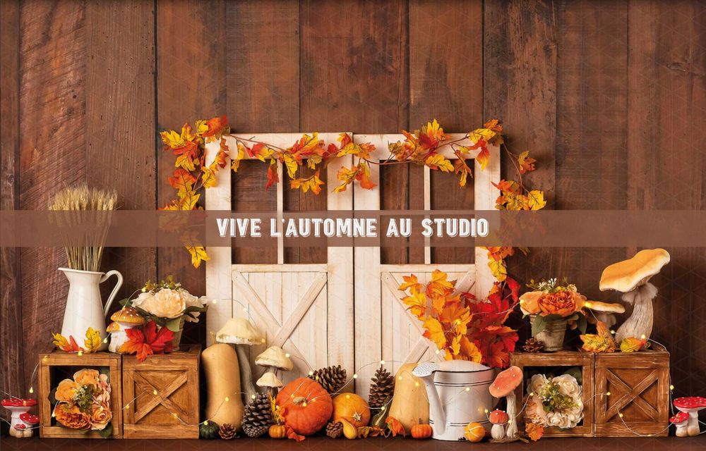 Fond de Studio Atelier photo Venzolasca