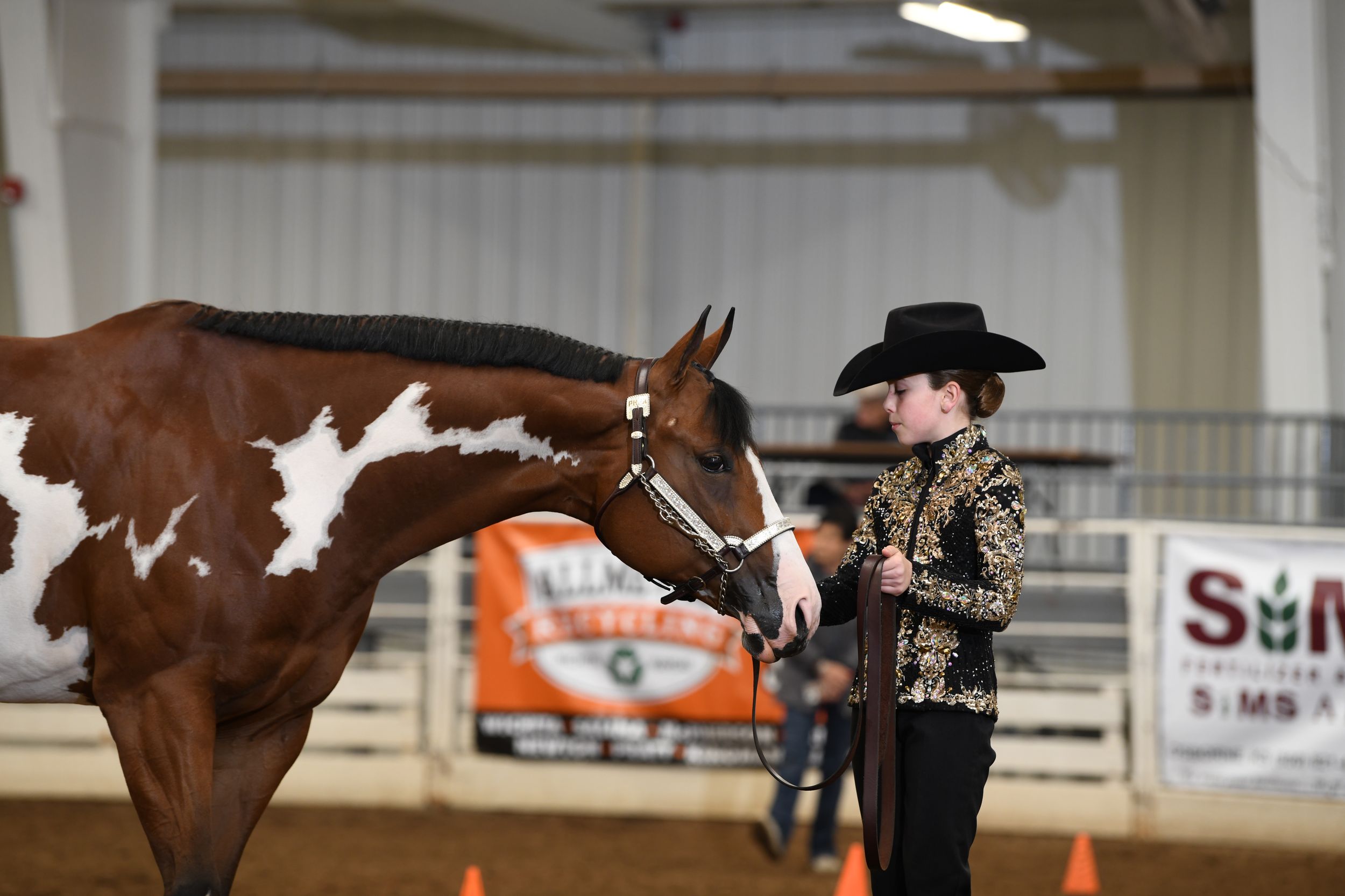 Paint horse and rider compete in western pattern class.