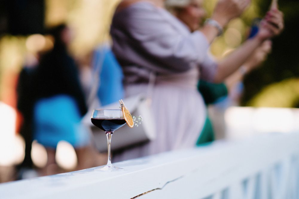 Wedding party members raise glasses in a celebratory toast at outdoor venue.