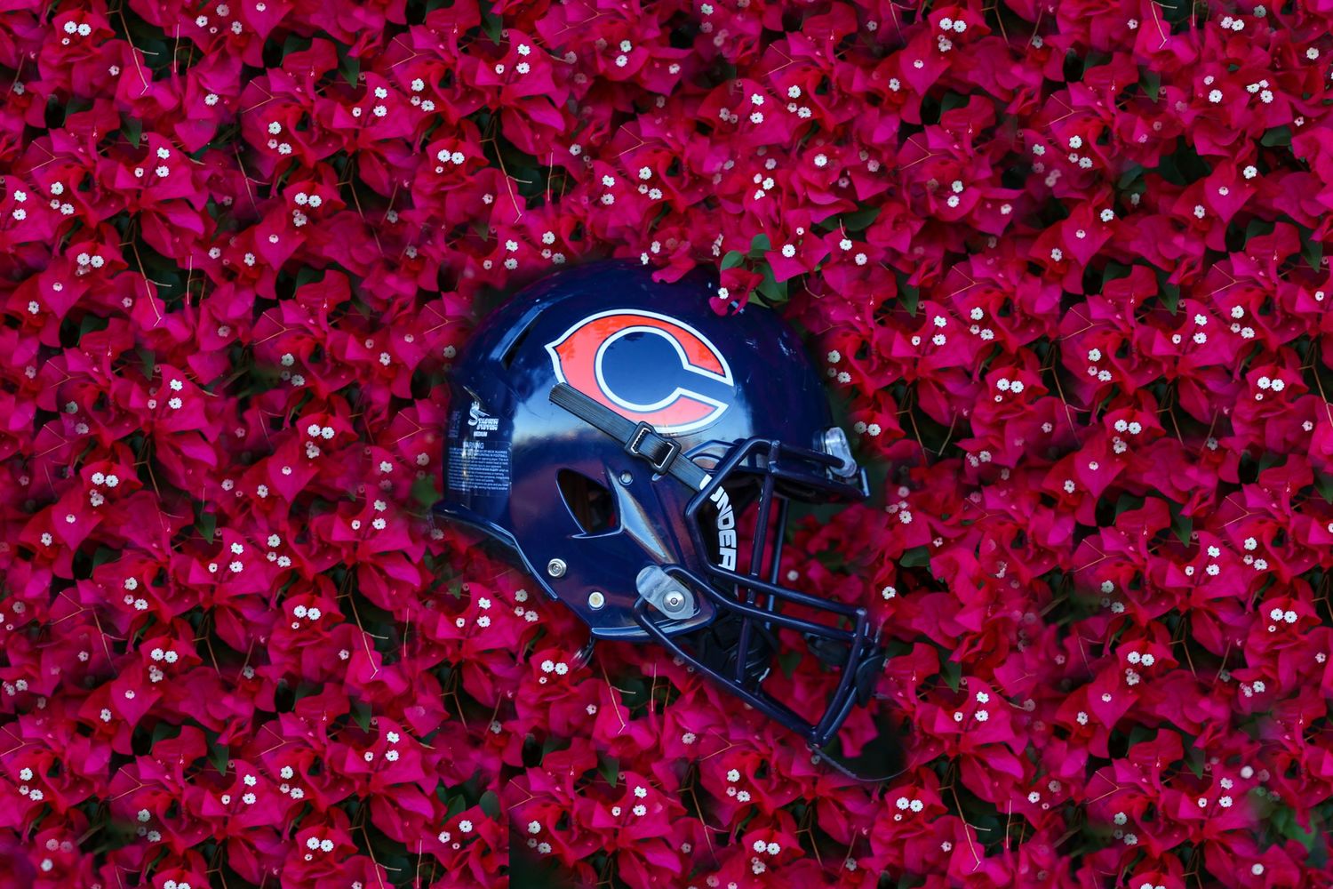 Football helmet in bed of flowers