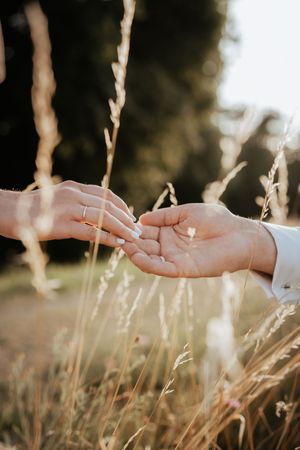 Two hands gently touching with wedding rings in a sunlit field of tall grass.