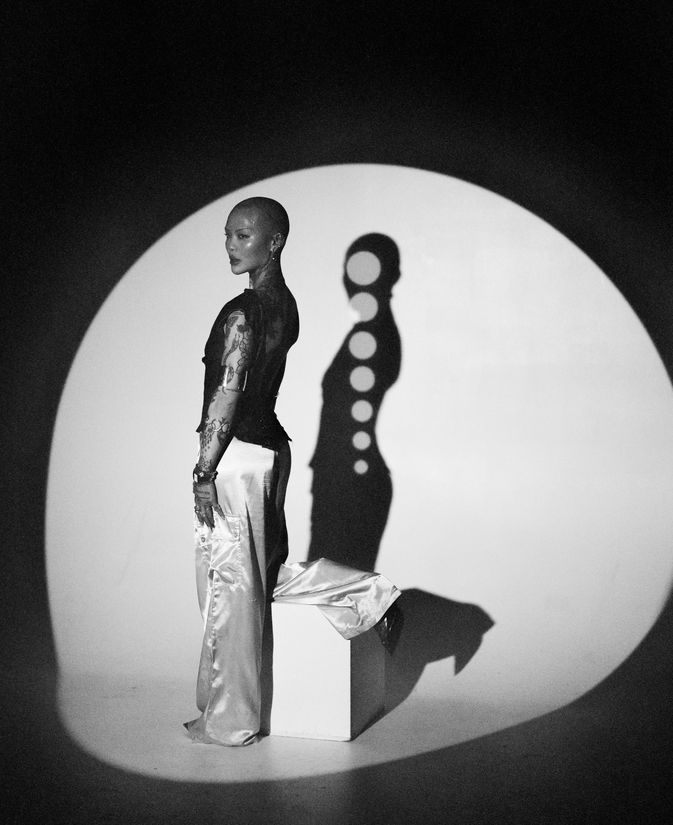 Artistic silhouette composition showing figure and shadow against circular white background.