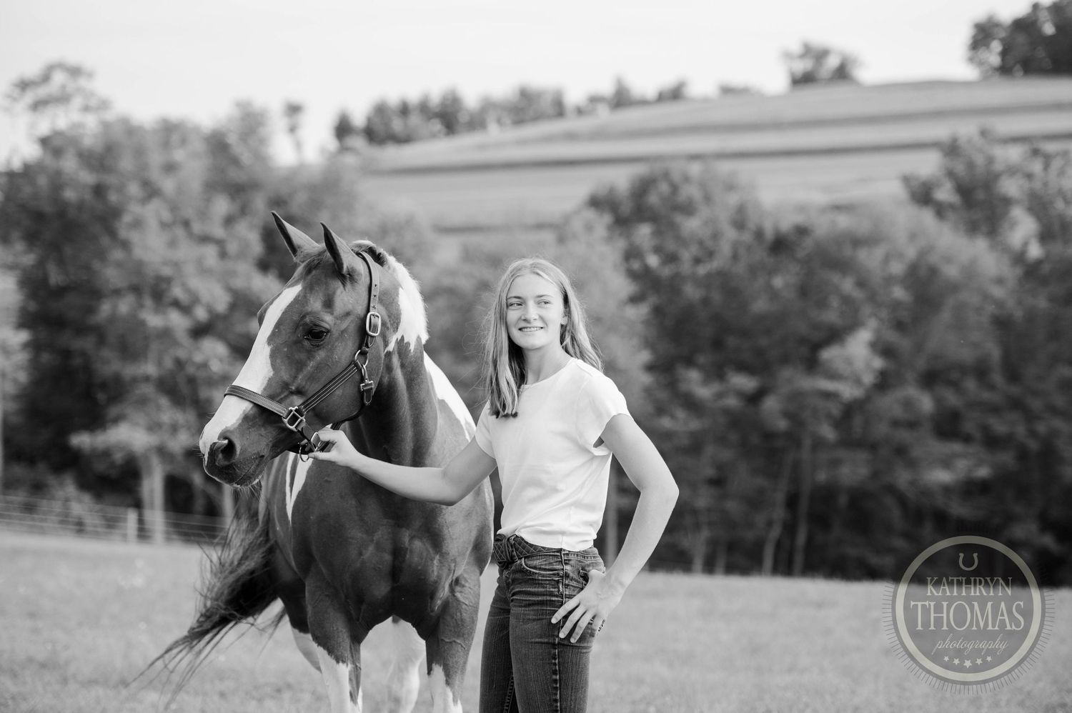 A black and white portrait of a paint horse and companion standing in a rural field.