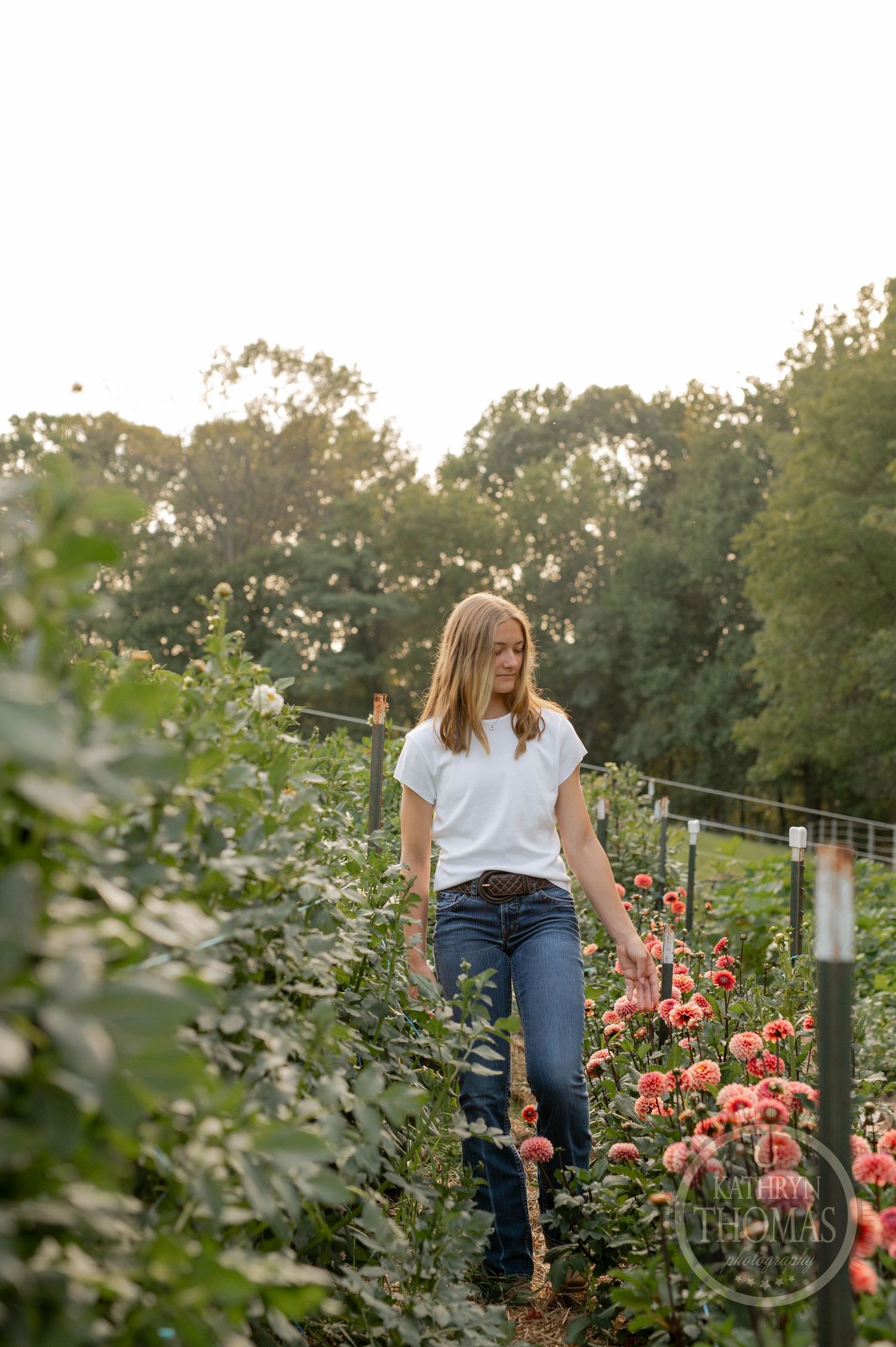 Person walking through garden path with pink flowers and green foliage in late afternoon light.