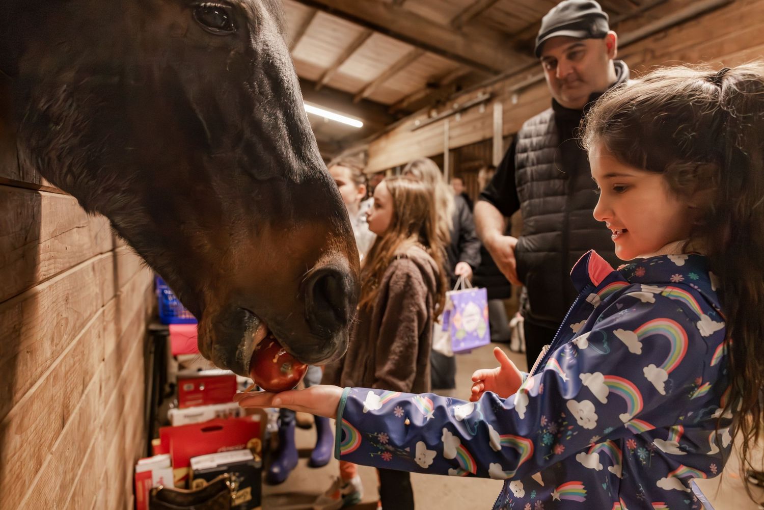 A young child in a patterned sweater feeds a curious dark horse in a wooden stable setting.
