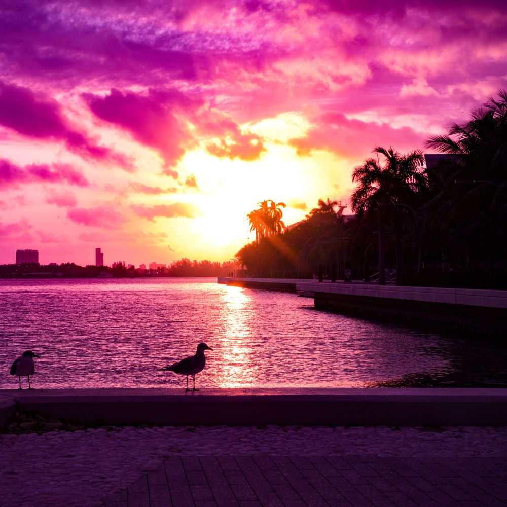 sunrise