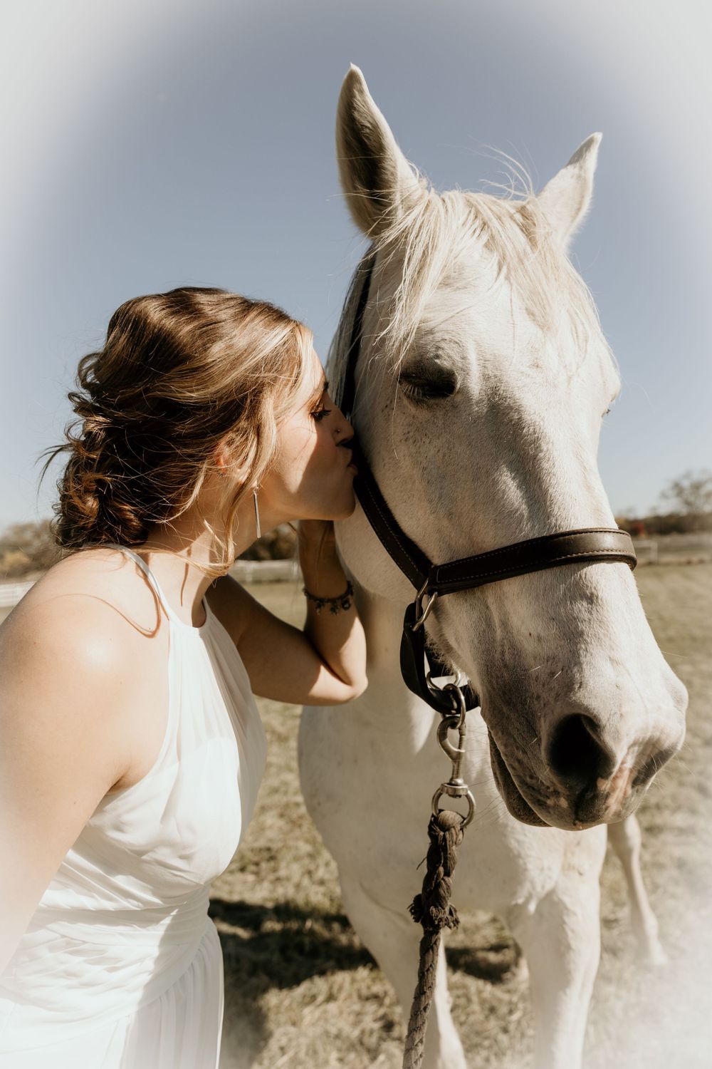 A tender moment between a white horse and someone wearing a white dress in a sunlit outdoor setting.