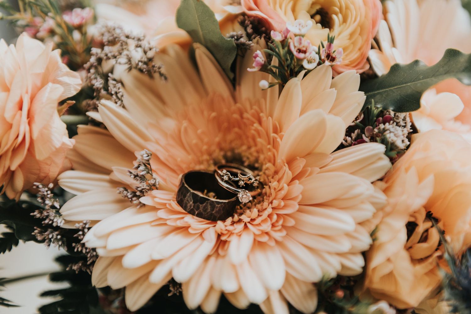 Black wedding rings nestled in the center of a peach-colored gerbera daisy with soft flowers in the background.