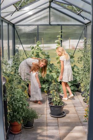 Two people tending to plants inside a sunlit greenhouse with stone flooring.
