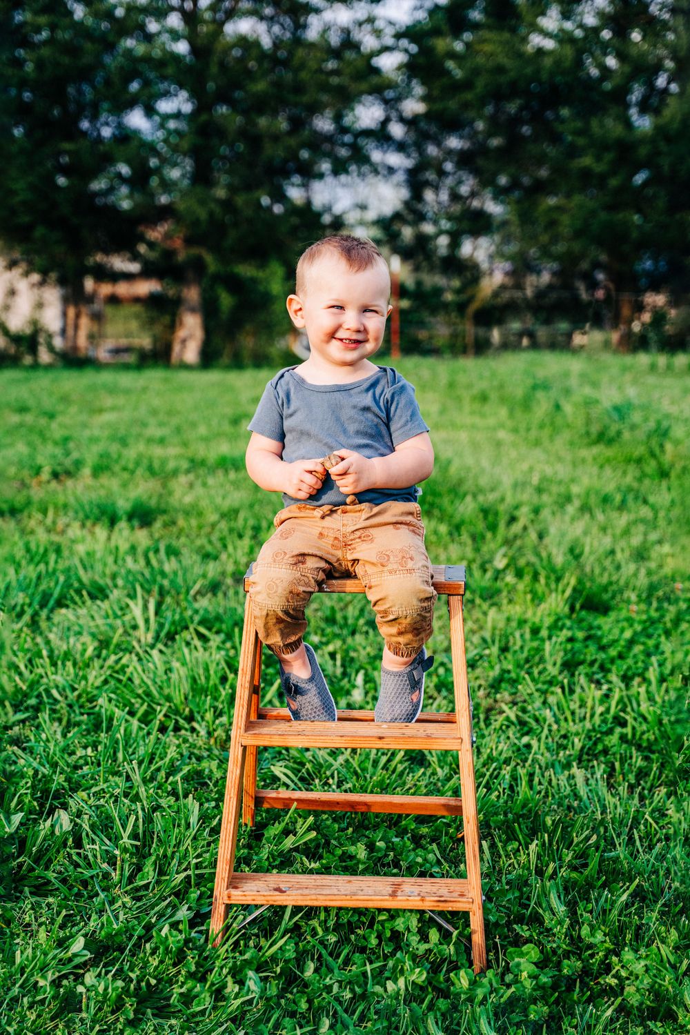 Photo of a little boy sitting on a ladder taken on a farm by East Tennessee lifestyle and family portrait photographer.