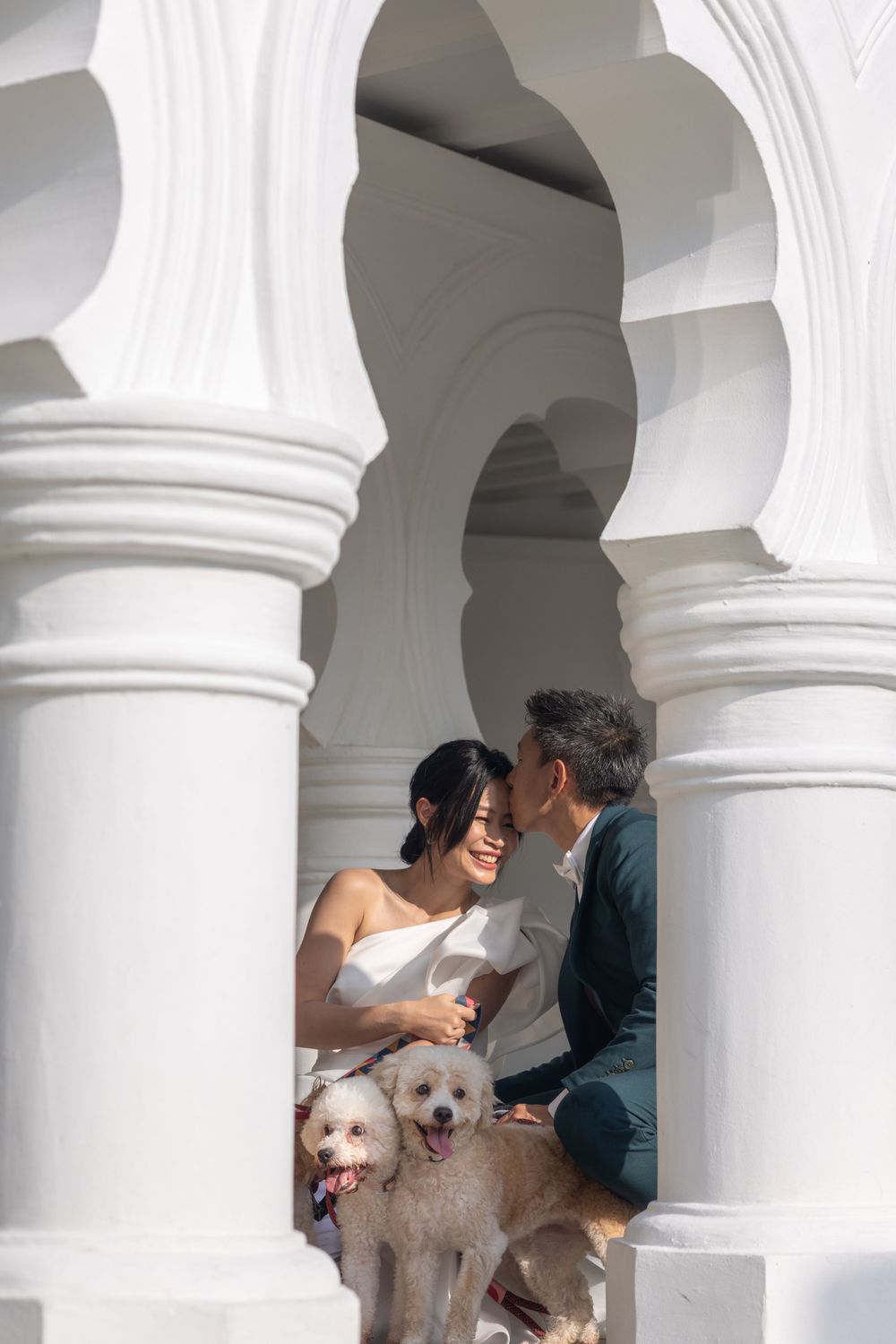 White arched columns frame a couple with their dogs in an elegant architectural setting.