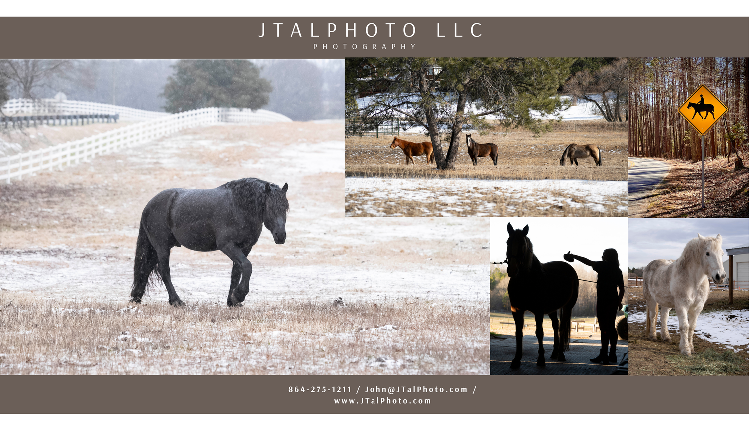 Horse Documentary
©Photography by John Talbert LLC
