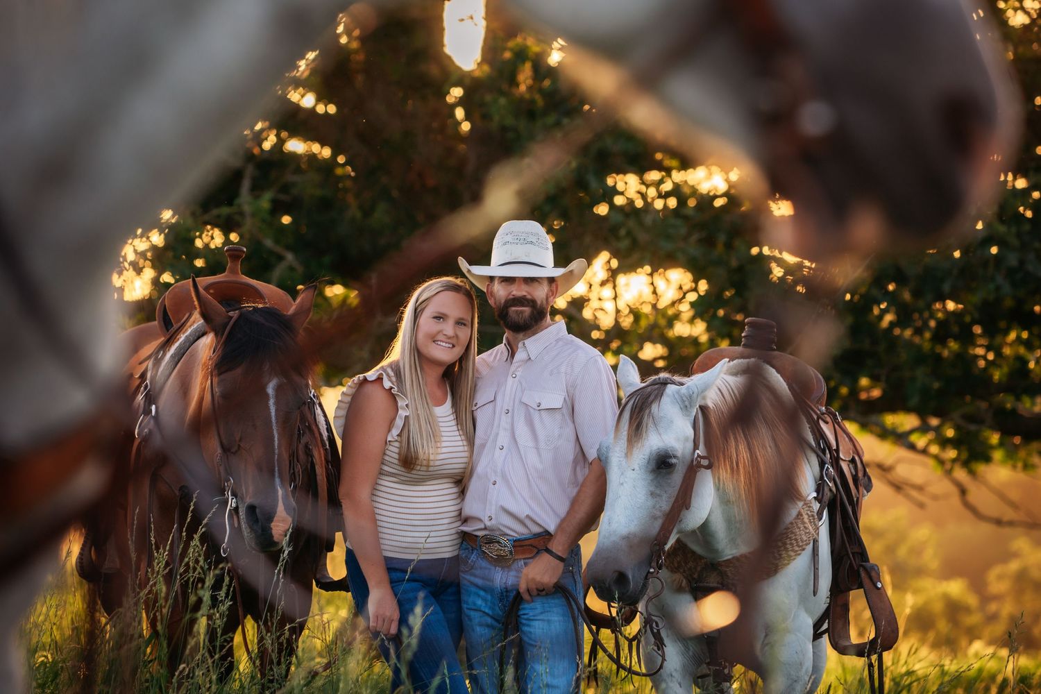 Cowboy, western lifestyle, pushing cattle.