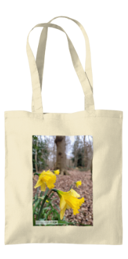 Daffodils cotton tote bag landscape photography gift.