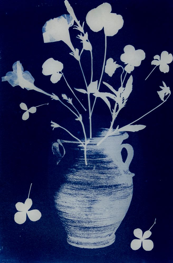 Cyanotype still life with flowers in vase silhouette by Piret Victoria Ribas.
