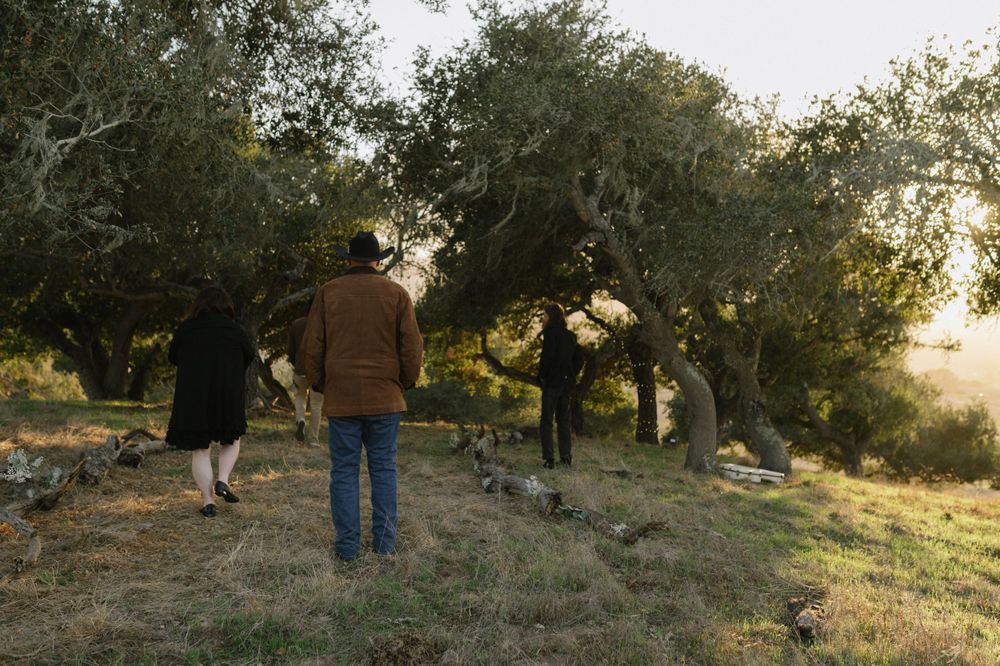 People walk through a grove of oak trees at sunset.