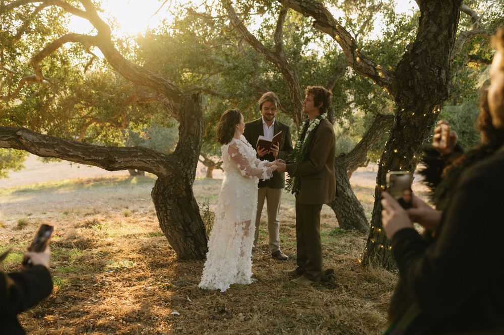Wedding ceremony takes place under golden sunlight filtering through oak trees.