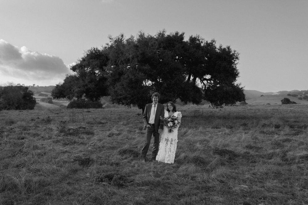 Black and white wedding photo with couple standing beneath a large oak tree in a meadow.