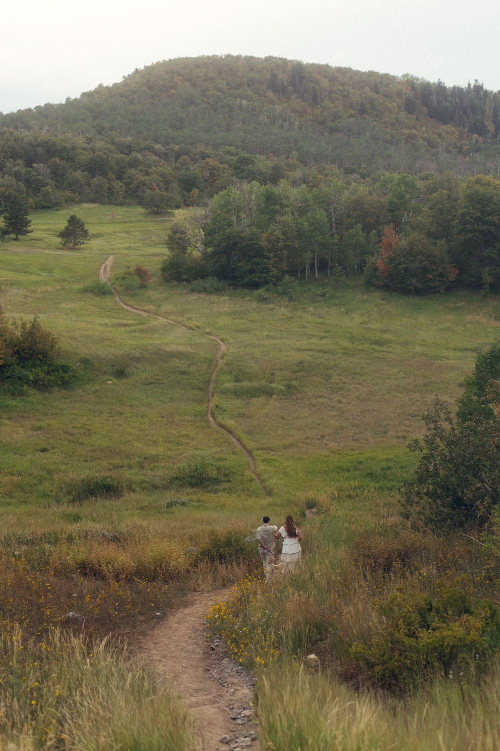 Fall engagement session with couple and their dog at Buffalo Peak in Provo Canyon, captured by Utah cinematic photographer Julia Fay Photo.