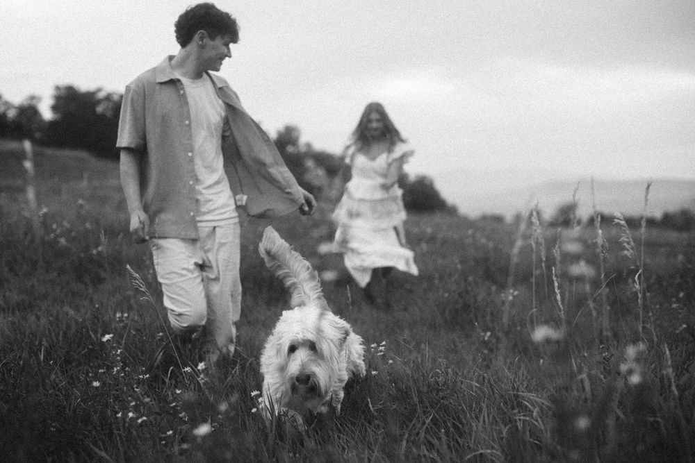 Fall engagement session with couple and their dog at Buffalo Peak in Provo Canyon, captured by Utah cinematic photographer Julia Fay Photo.