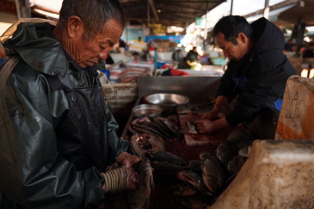 Workers in raincoats process fish at a wet market stall.