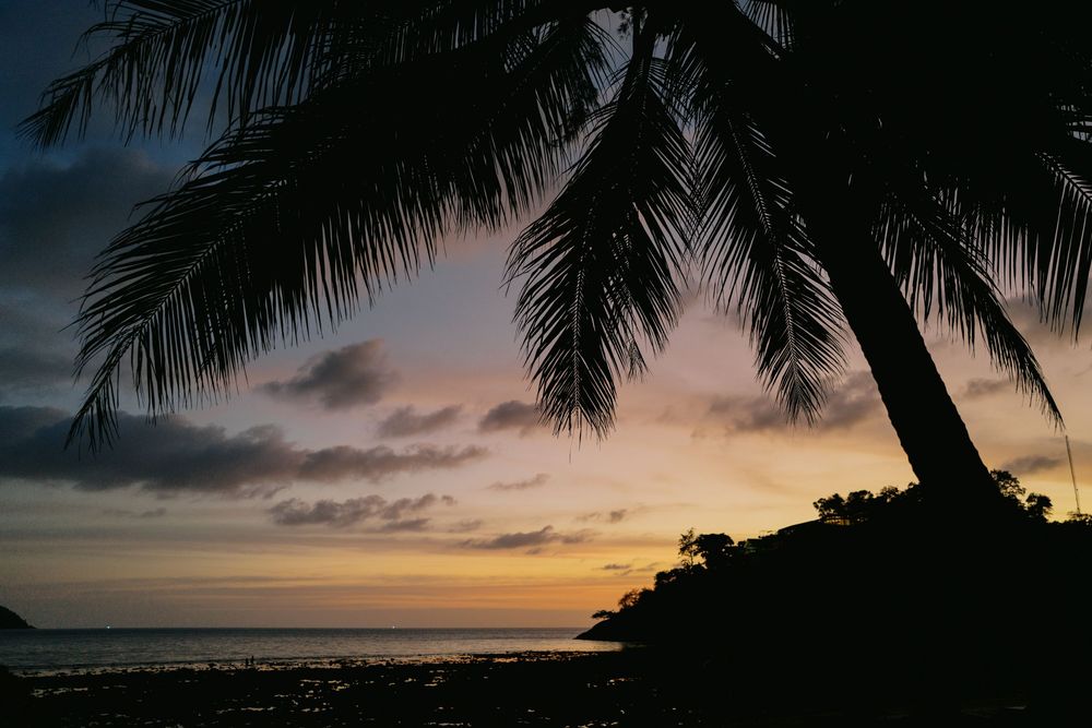 Silhouettes of palm trees frame a dramatic tropical sunset over calm ocean waters.