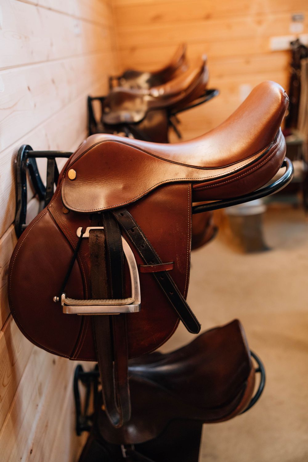 Row of polished brown leather English saddles mounted on wall racks inside a wooden tack room.