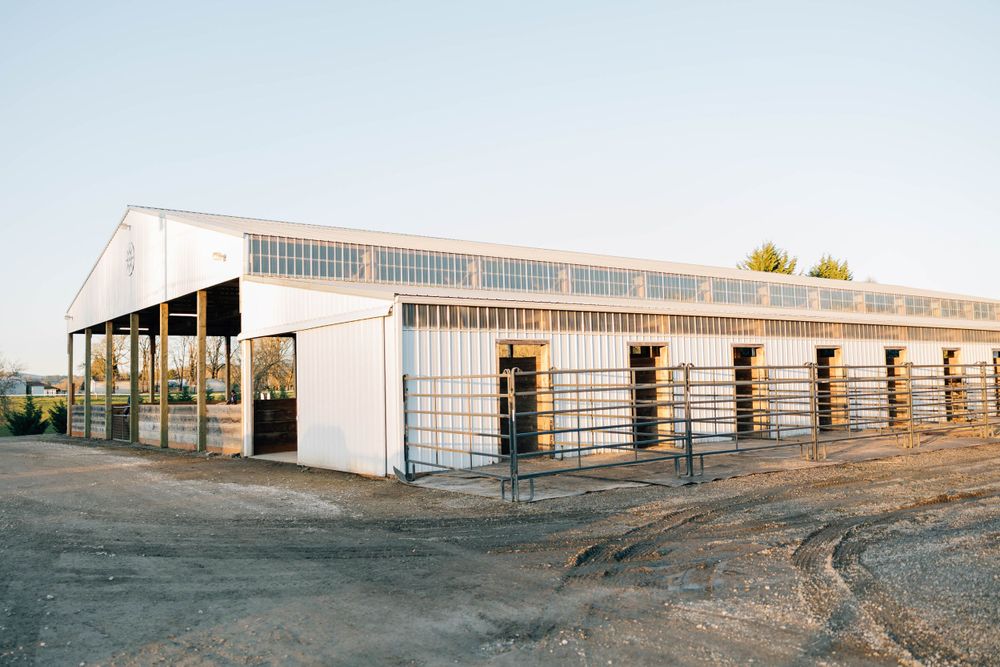 Exterior view of a large white metal horse barn with individual stalls and blue metal gates at dusk.