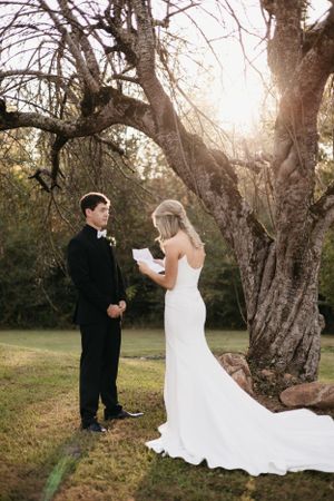Bride and groom exchange vows under large tree during outdoor wedding ceremony.