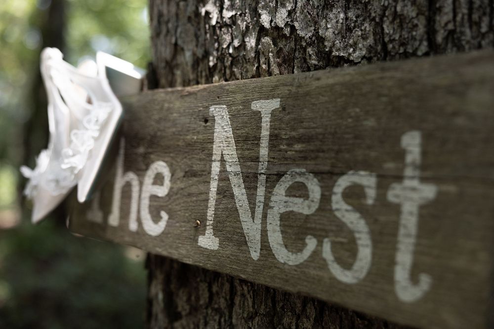 Rustic wooden sign reading 'The Nest' mounted on a tree trunk in a forest setting.