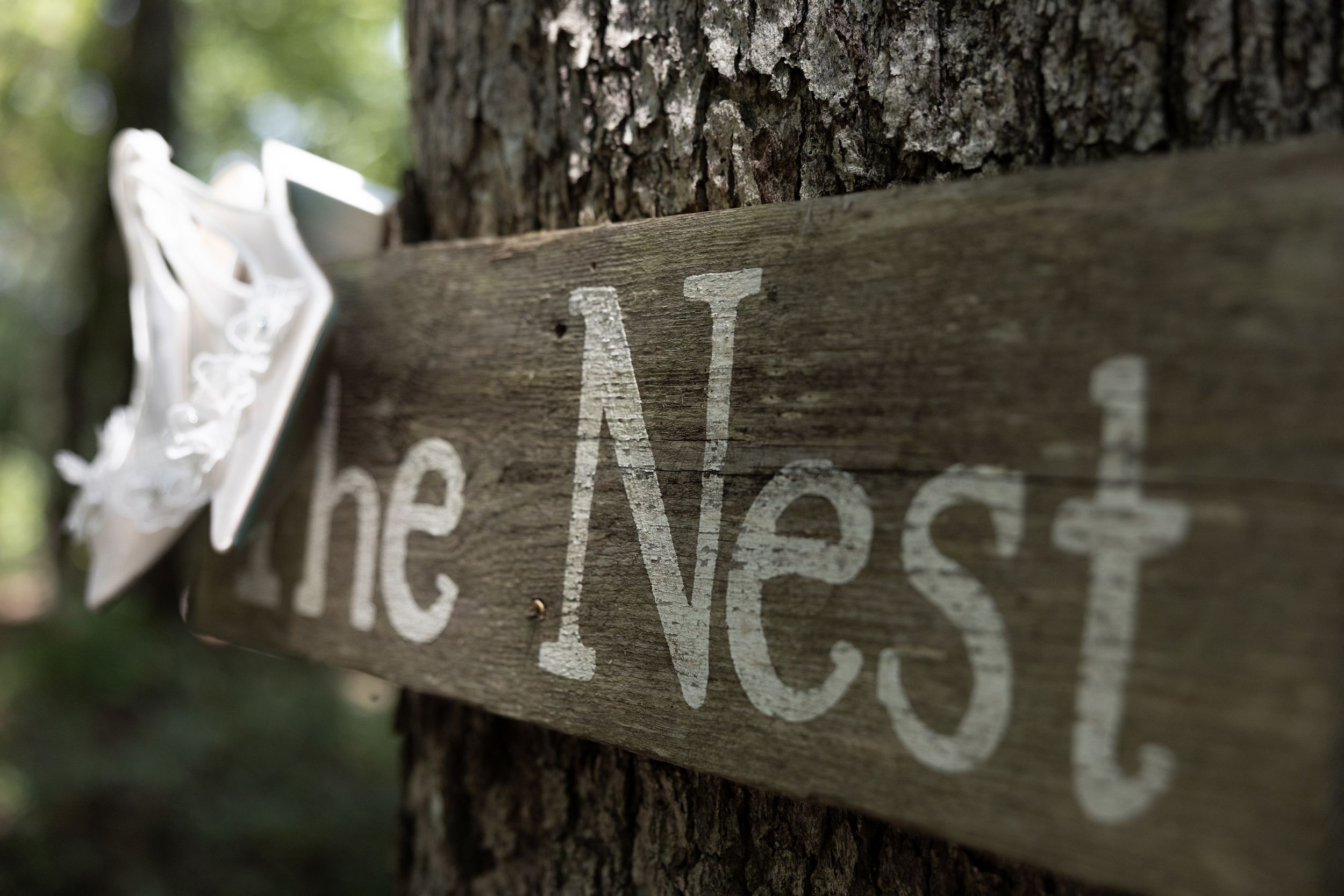 Rustic wooden sign reading 'The Nest' mounted on a tree trunk in a forest setting.