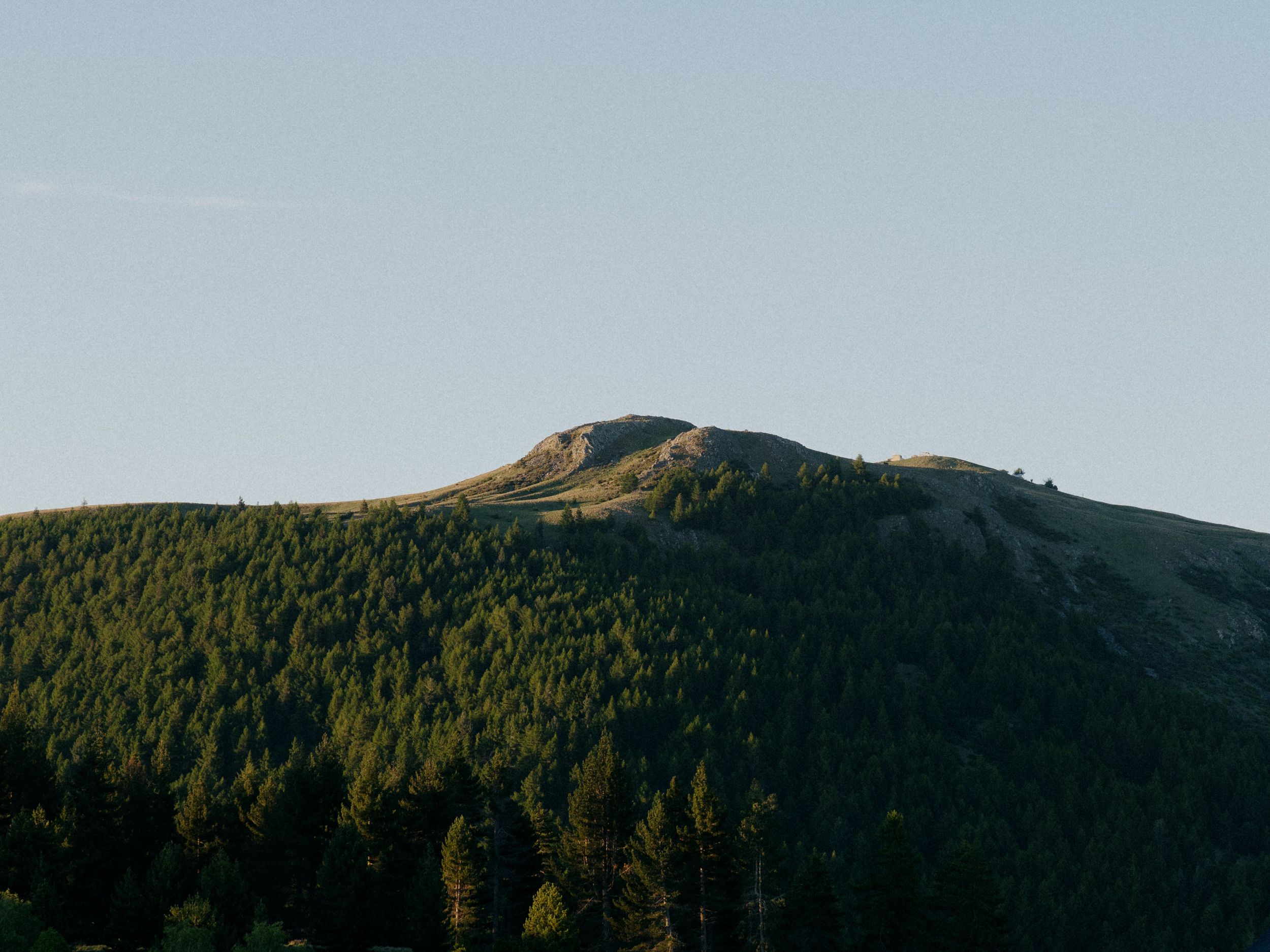 Forest-covered mountain peak illuminated by golden sunlight against clear blue sky.