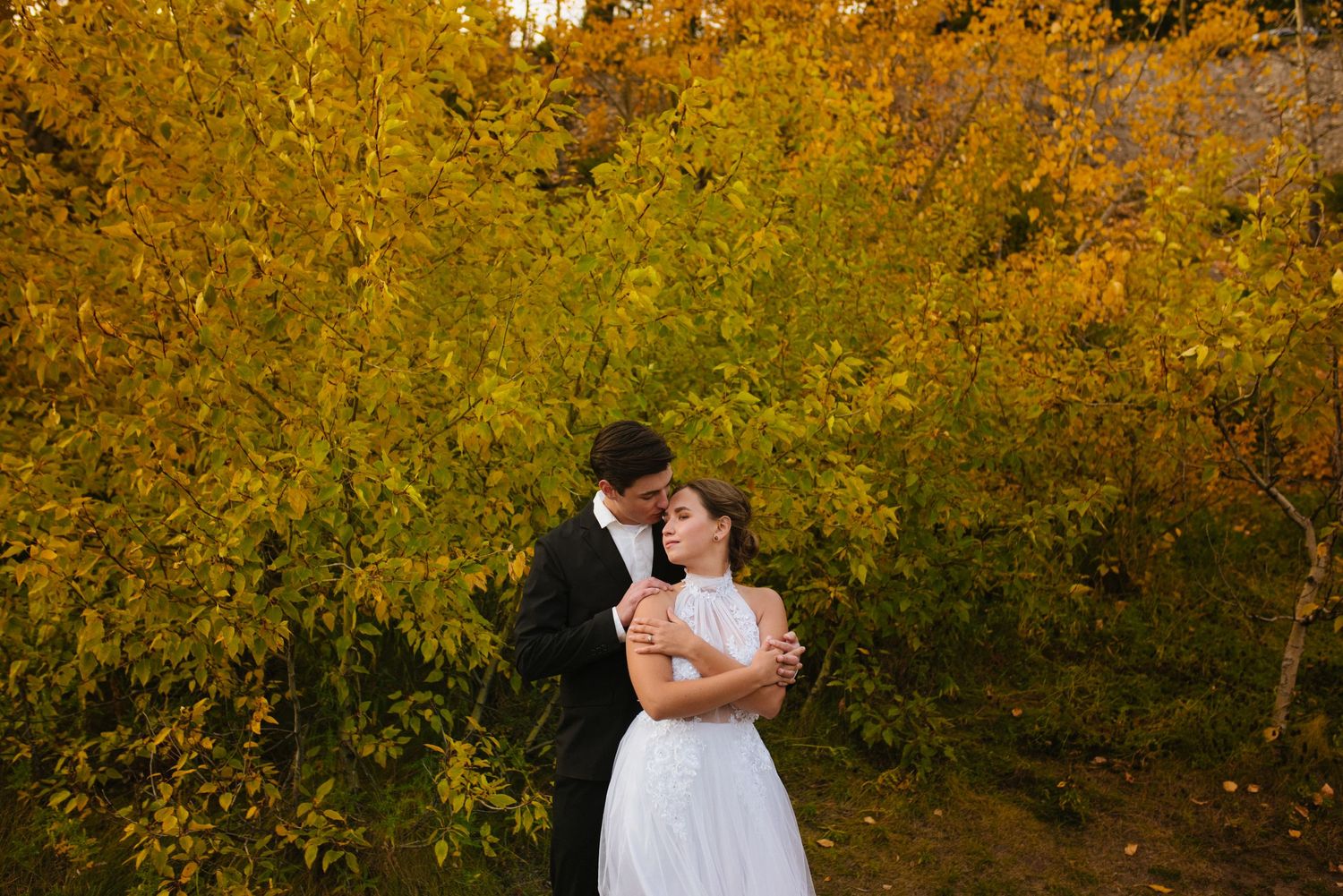 A couple embraces in front of vibrant yellow autumn foliage during a fall wedding photoshoot in Banff.