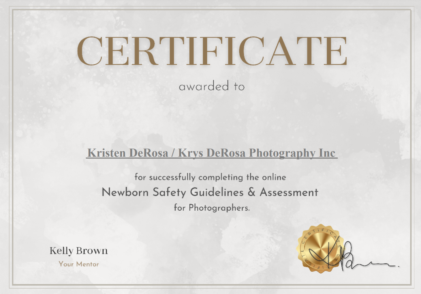 Professional photography certificate for Newborn Safety Guidelines and Assessment with gold seal.