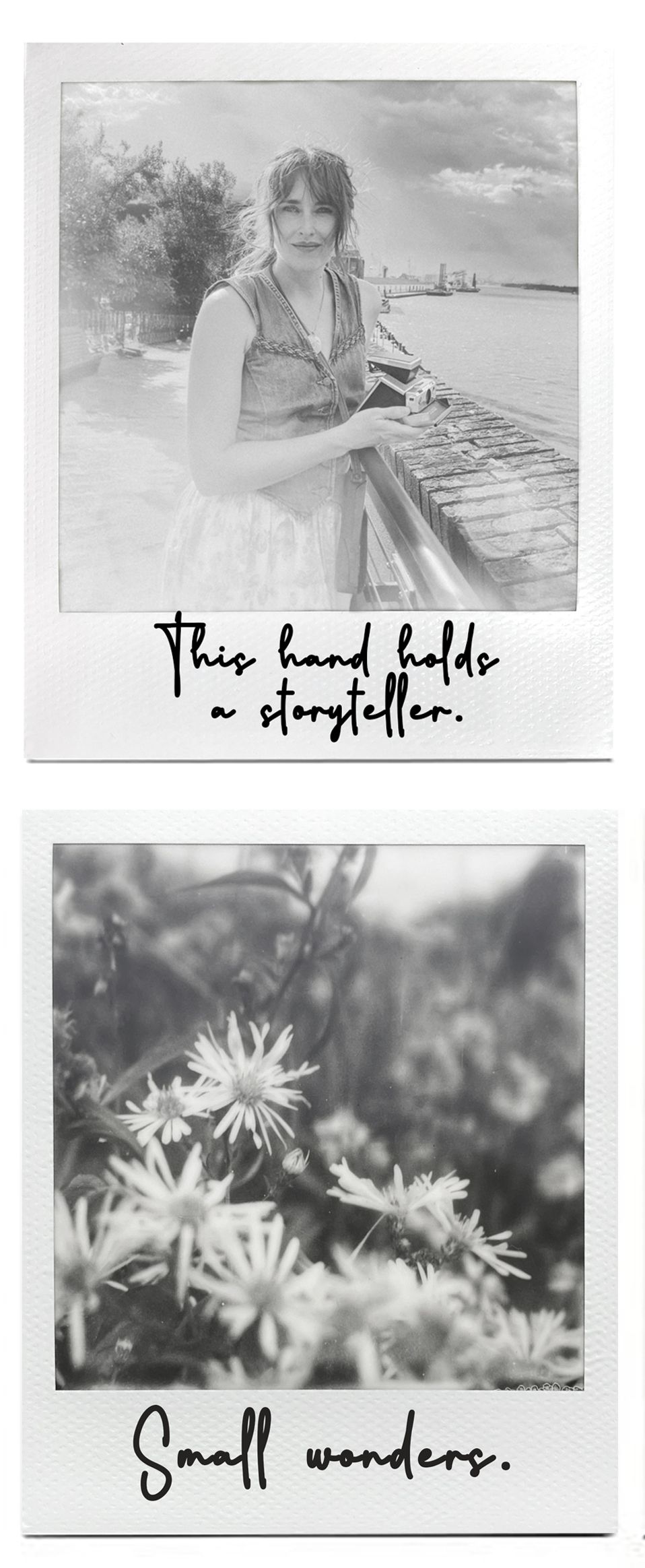 A collection of black and white photographs showing a wooden ladder, daisies in bloom, and dreamy outdoor scenes.