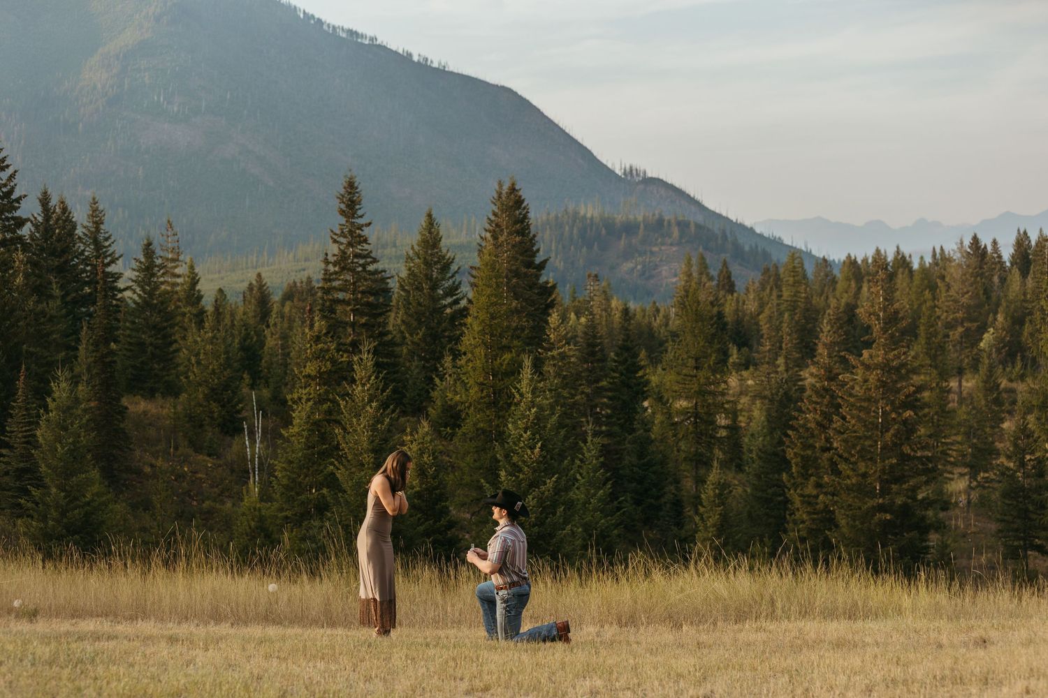 A romantic proposal moment unfolds in a scenic mountain meadow surrounded by evergreen trees and distant peaks.