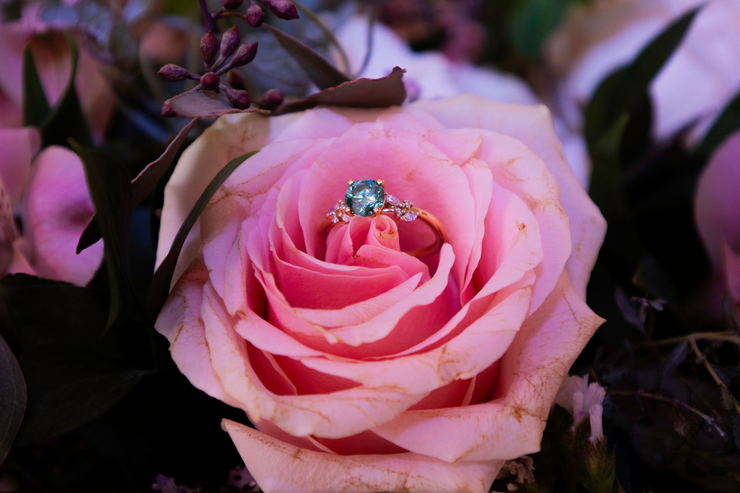 A sparkling diamond and aquamarine engagement ring nestled in the center of a soft pink rose bloom.