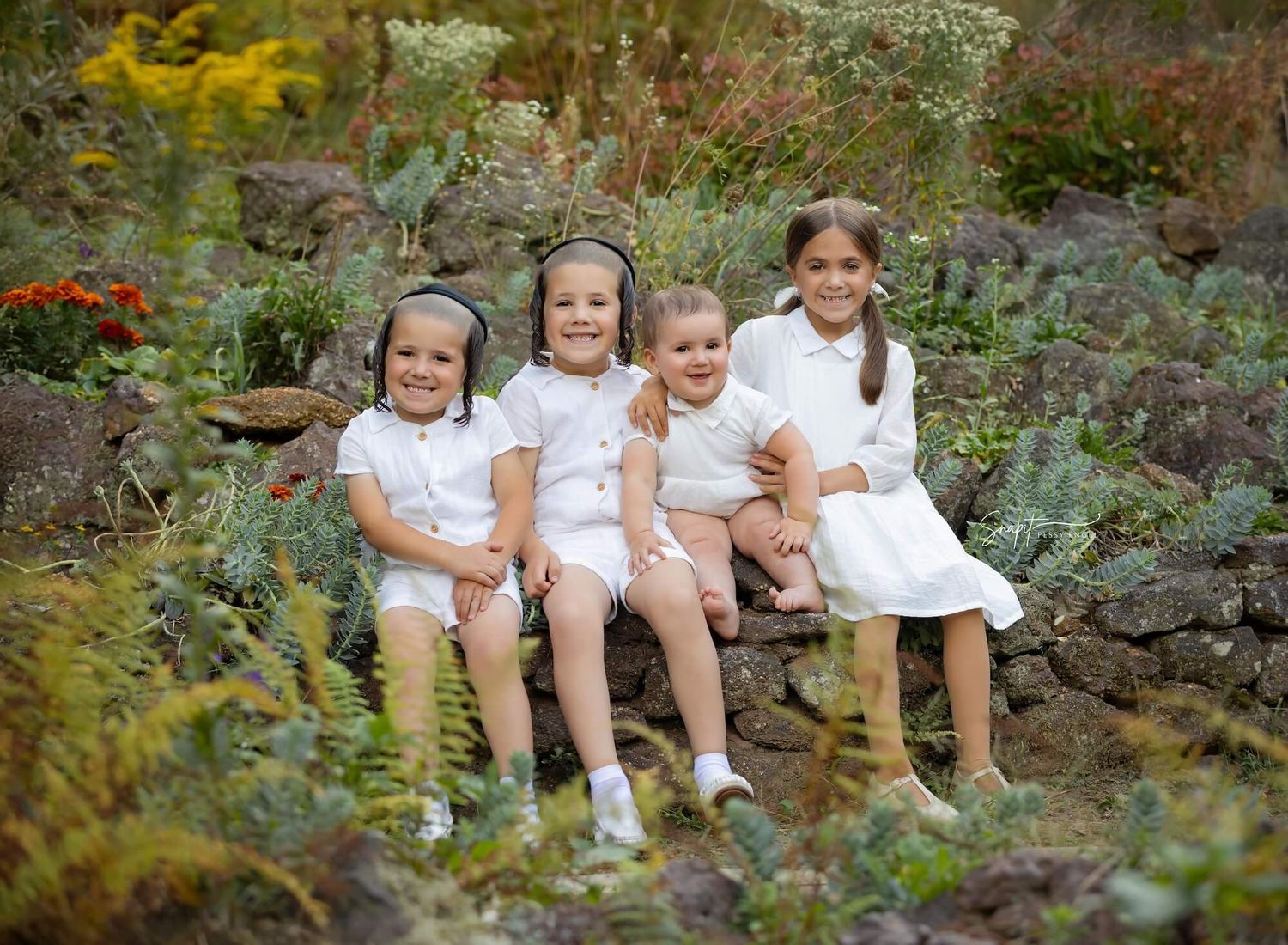 newborn photography Spring Lake NJ, baby photographer Brielle NJ, family photos Lakewood NJ, kids portraits Ocean Township