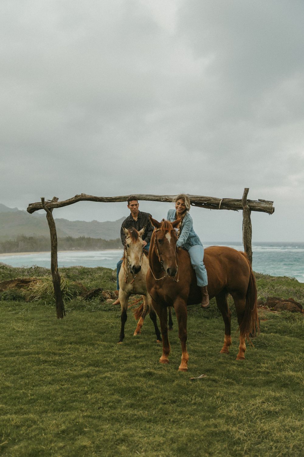 Horses grazing on a coastal hillside with wooden posts and ocean views.