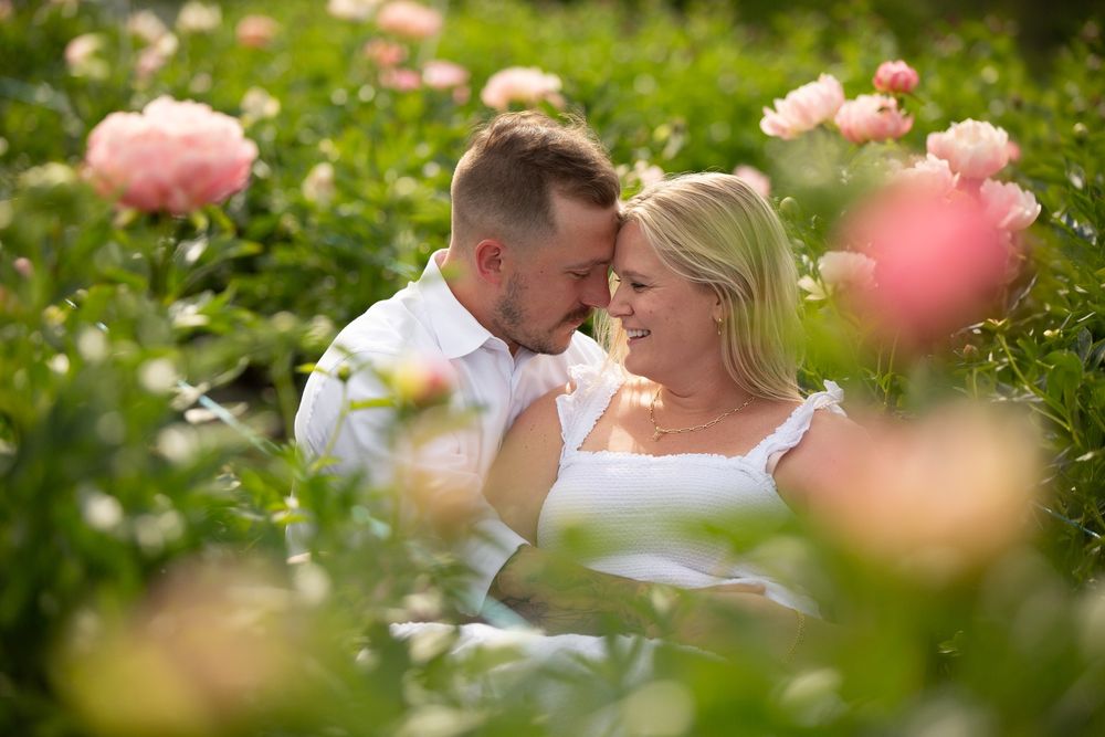 Couple sharing a romantic moment surrounded by blooming pink roses in a garden.
